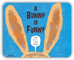 Bunny is Funny Book Cover